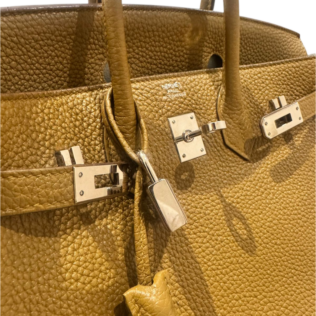 Hermès Birkin 25 Verso Bronze Dore Craie Togo PHW