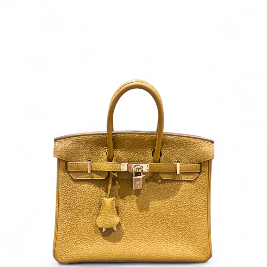 Hermès Birkin 25 Verso Bronze Dore Craie Togo PHW