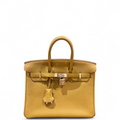 Hermès Birkin 25 Verso Bronze Dore Craie Togo PHW