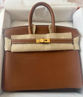 Hermes Birkin 25