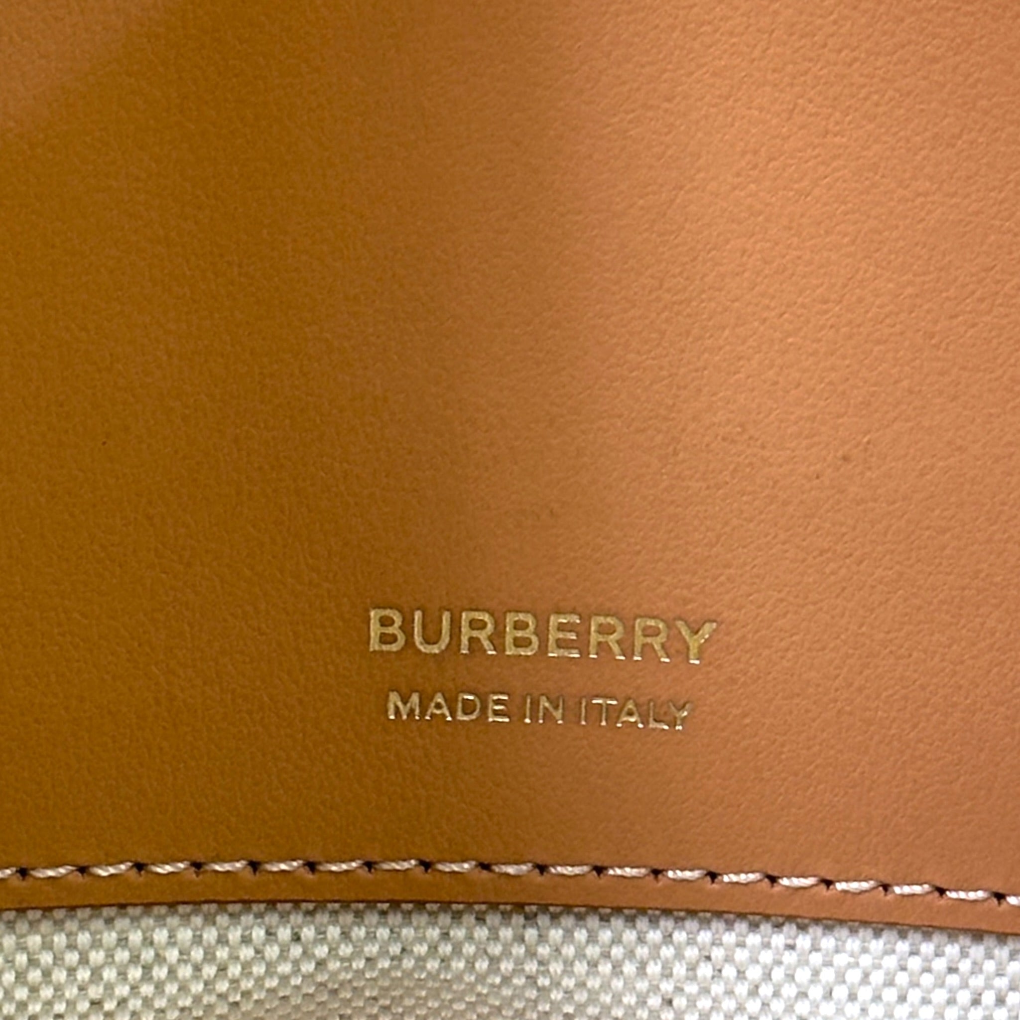Burberry Olympia Bag Beige/Brown Canvas Leather Trim