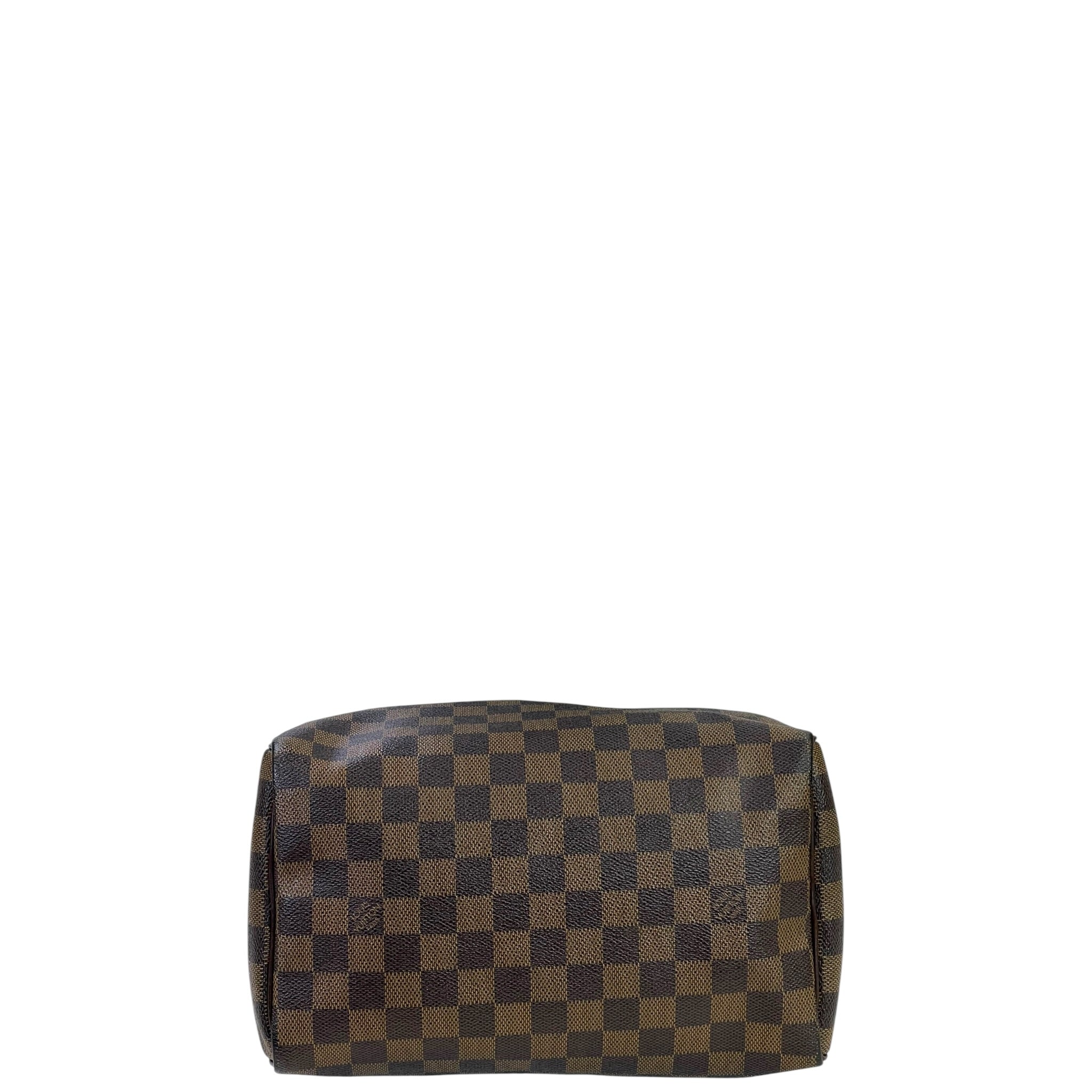 Louis Vuitton Speedy 25 Damier Ebene Canvas