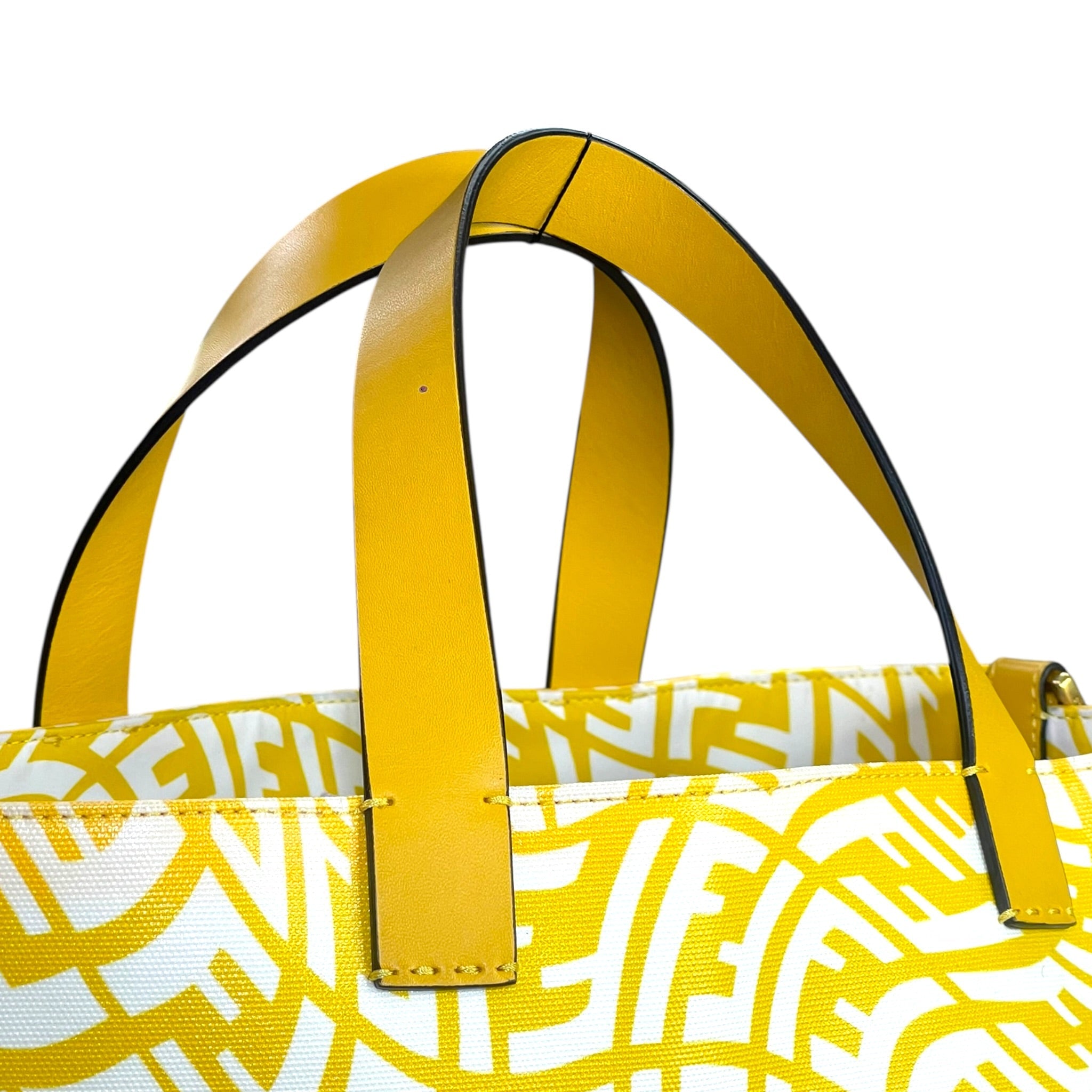 Fendi X Sarah Coleman Zucca FF Vertigo Shopper