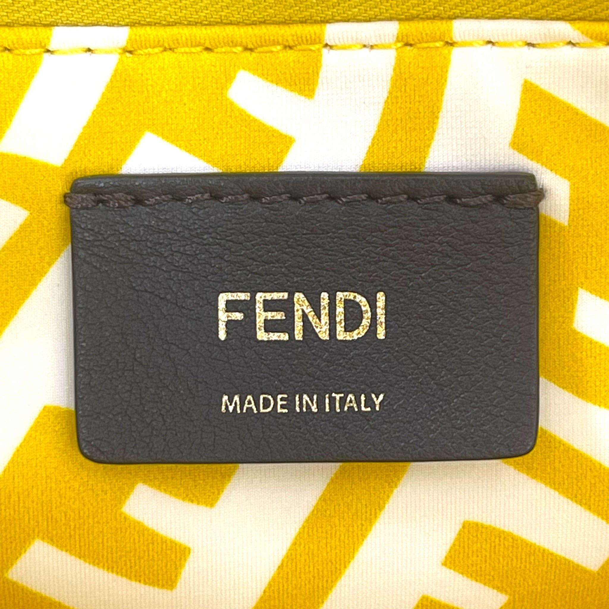 Fendi X Sarah Coleman Zucca FF Vertigo Shopper