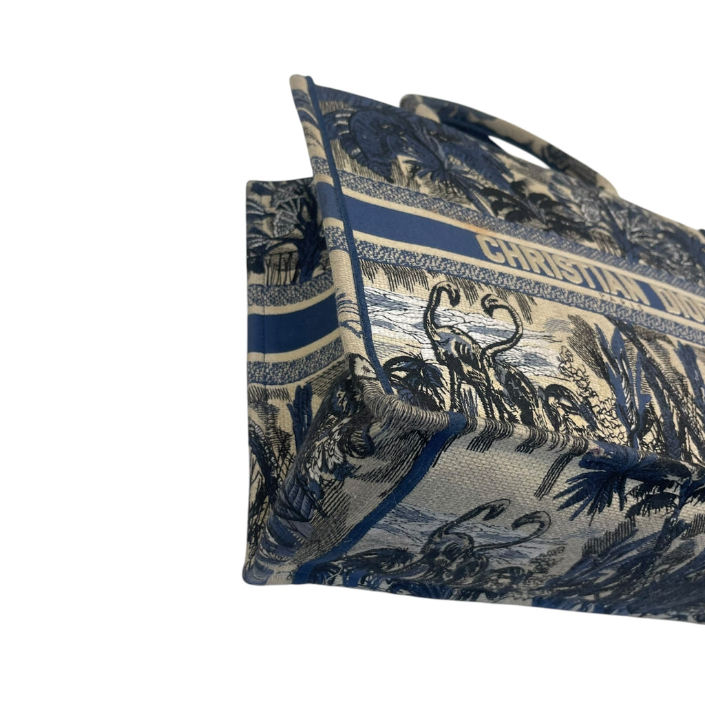 Christian Dior Book Tote Bag