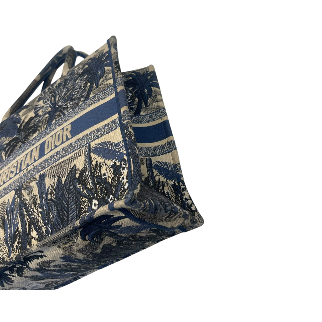 Christian Dior Book Tote Bag